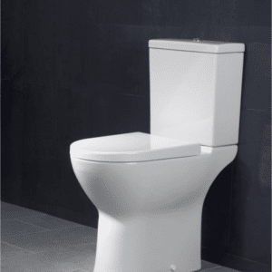 raised toilet for elderly