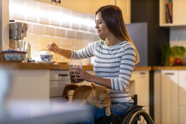 woman wheelchair kitchen home