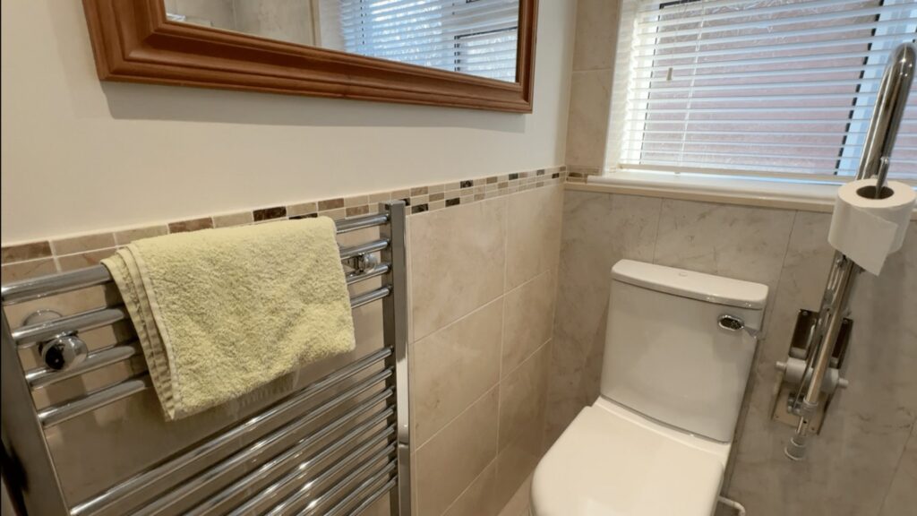 The heated towel rail and vertical support rail beside Steve's toilet, with a mosaic tile border.