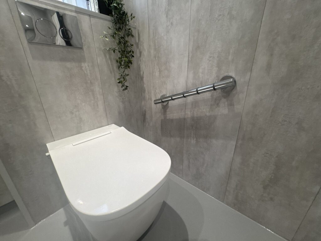 Linda's wall-hung toilet with a chrome grab rail fitted alongside