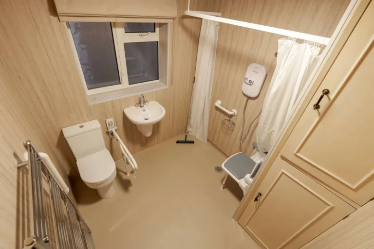 Level-access wet room with a shower seat, grab rails, toilet and basin