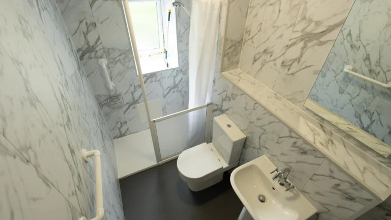 Adrian's walk-in shower with a half-height care screen, toilet, basin and grab rails