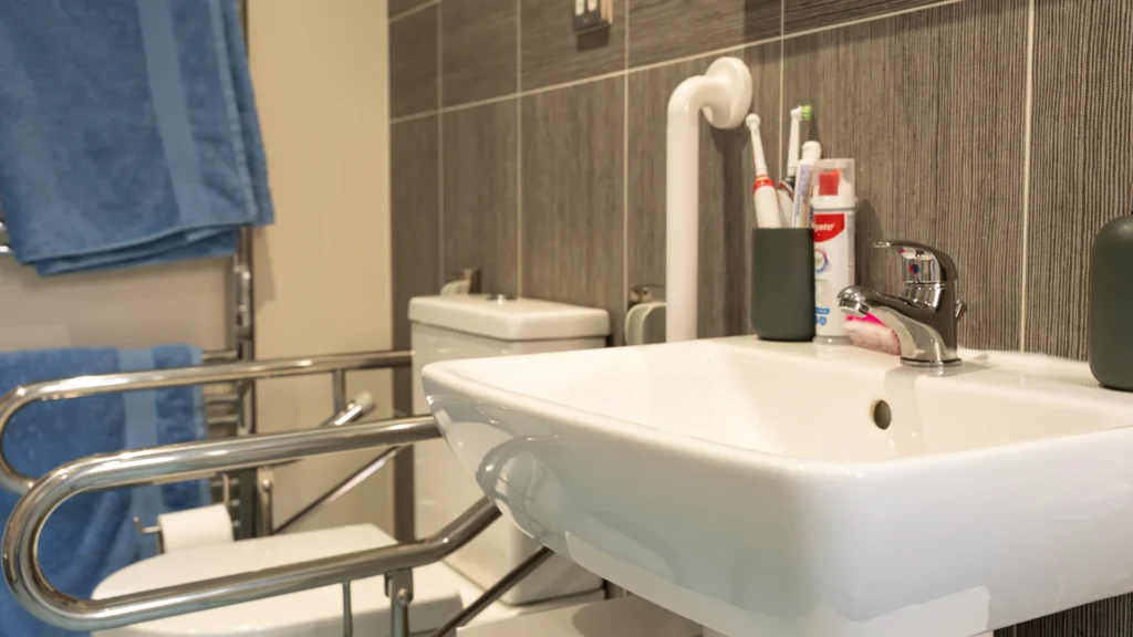 Basin and toilet with grab rails in Charlotte's new wet room